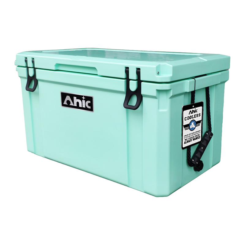 75L Insulated PE Ice Cooler Bo - Food & Snacks Colouring Book recension och pris