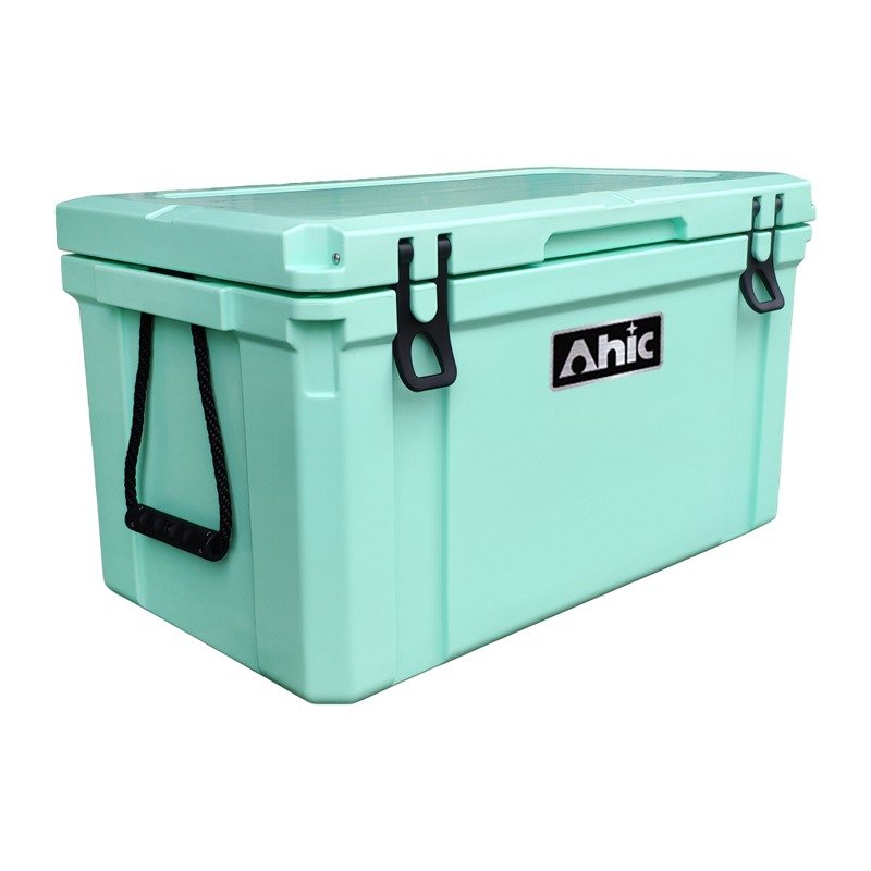 75L Insulated PE Ice Cooler Bo - Food & Snacks Colouring Book recension och pris