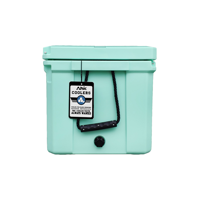 75L Insulated PE Ice Cooler Bo - Food & Snacks Colouring Book recension och pris